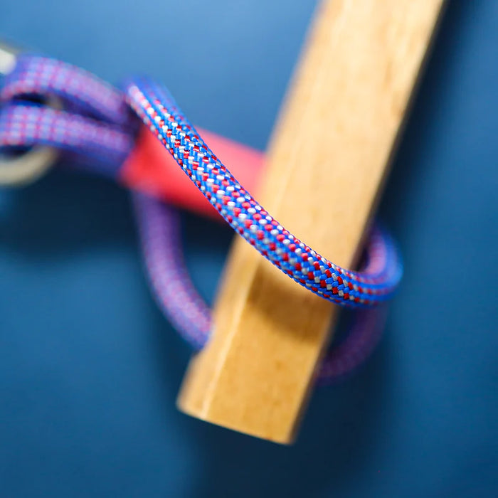 Dimple and Divot - Kingston